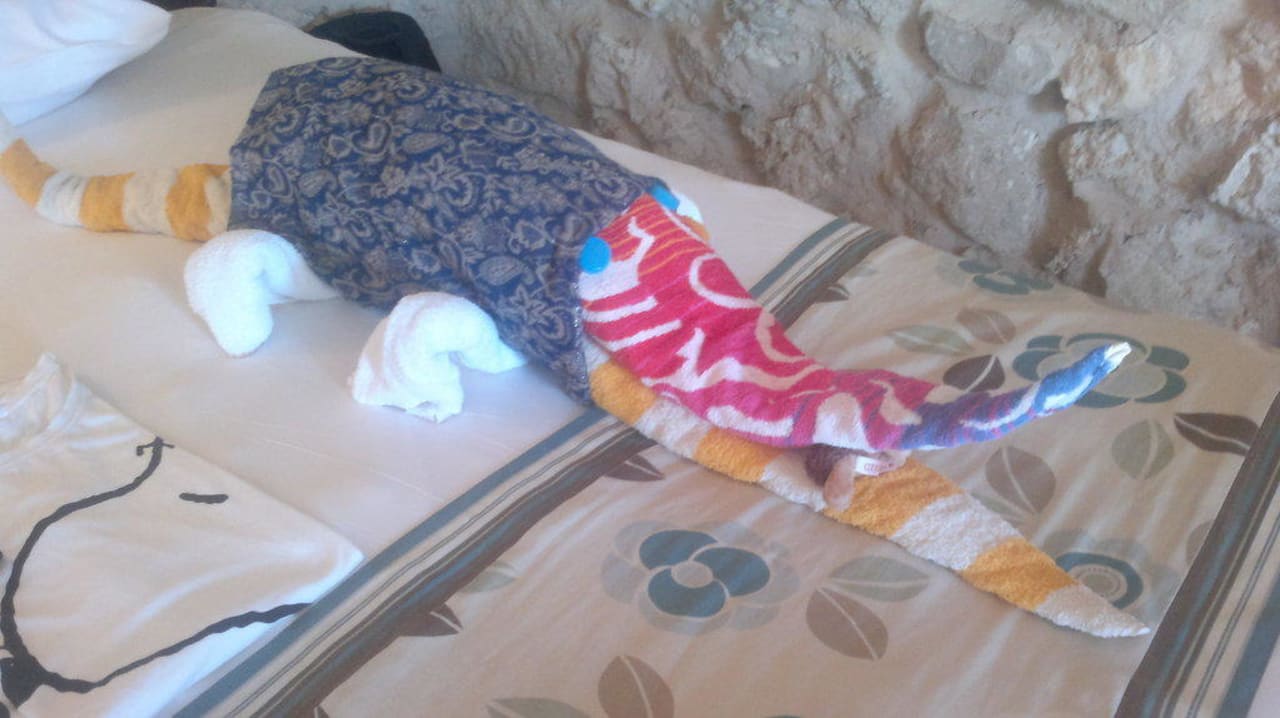 Krokodil aus Handtüchern Pickalbatros Citadel Resort