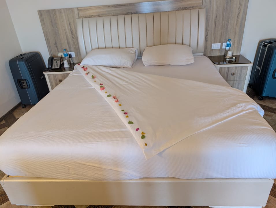 Zimmer Pickalbatros Citadel Resort