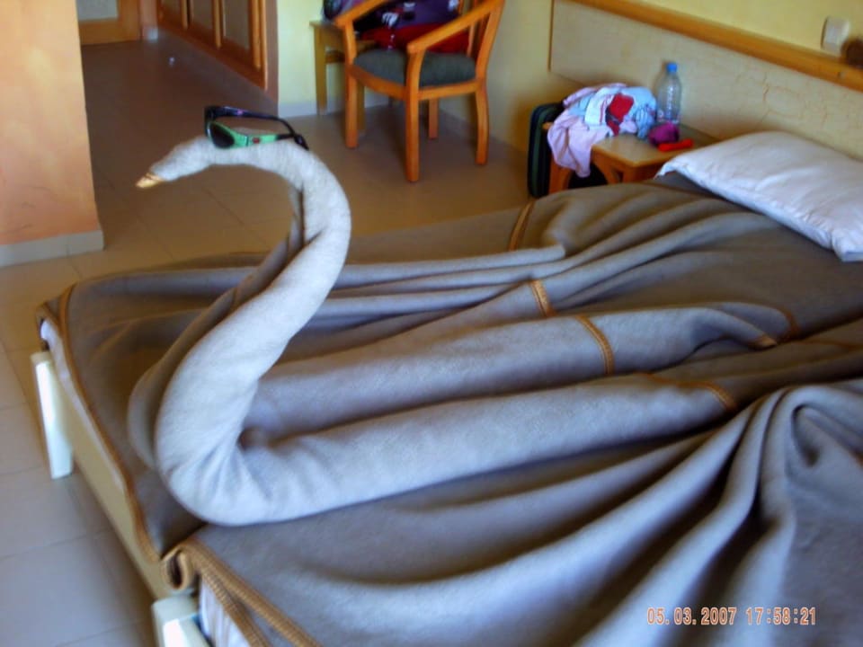 Zimmer Djerba Castille