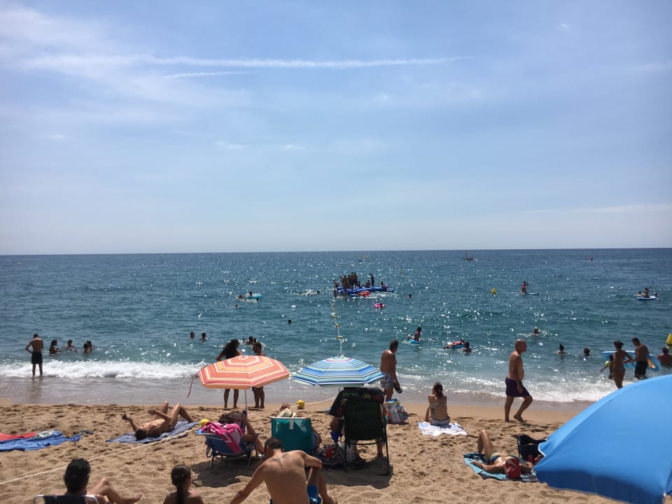 Strand htop Pineda Palace Adults Only