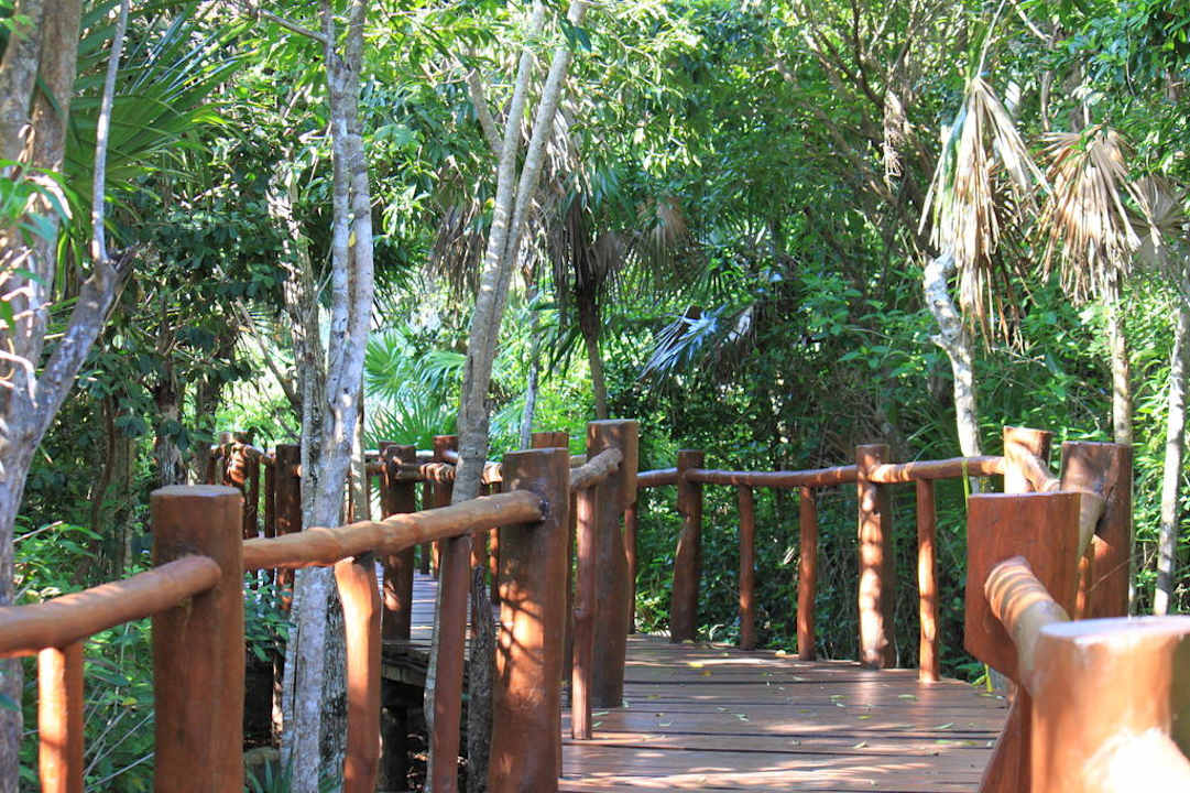 Holzsteg in der Parkanlage des Kantenah Grand Palladium Kantenah Resort & Spa