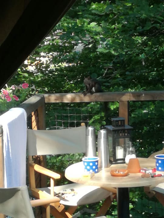 Sonstiges Garden Village Bled