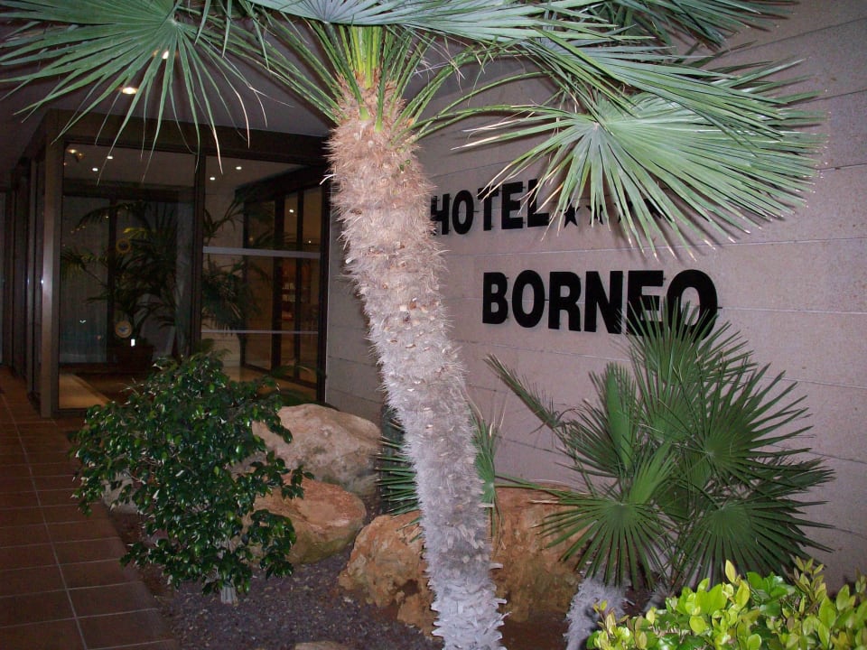 Eingang allsun Hotel Borneo - Adults only