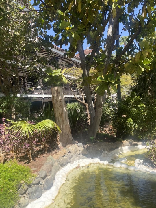 Gartenanlage Hotel Parque Tropical