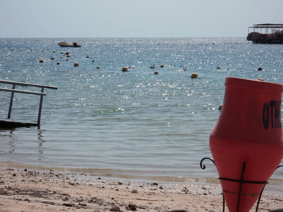 Strand Steigenberger Coraya Beach - Adults only