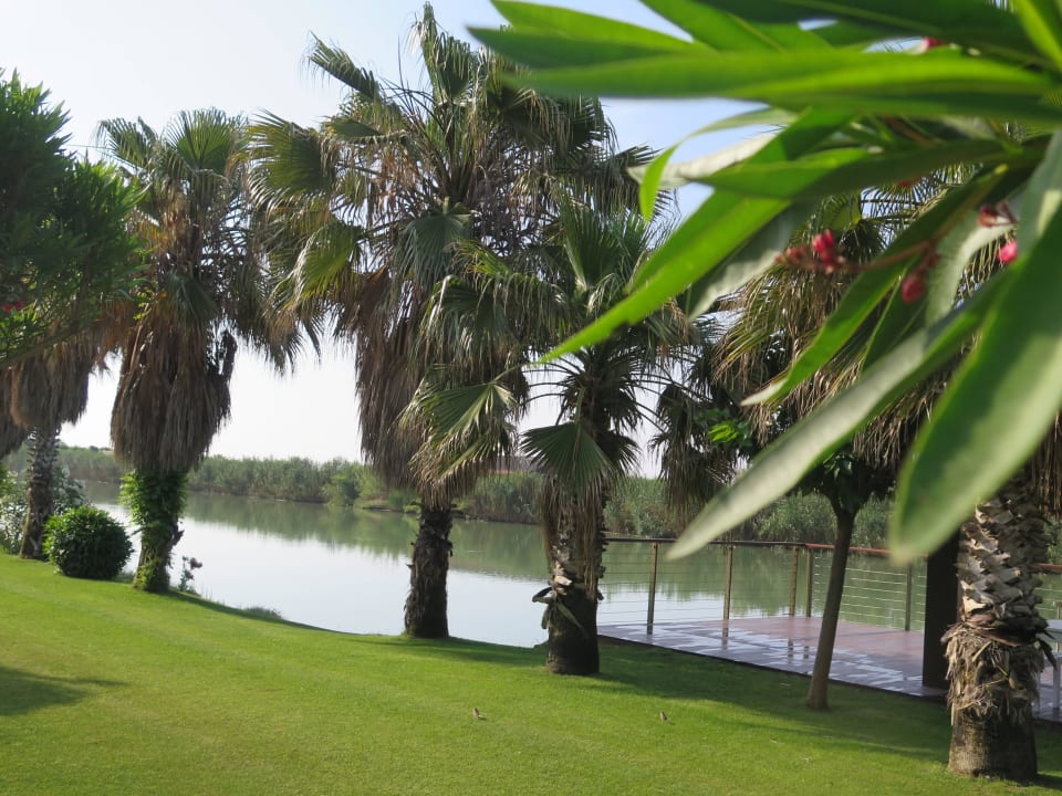 Blick auf den Fluss Gloria Serenity Resort