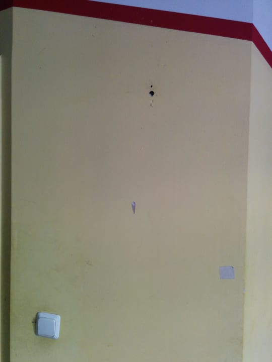 Wand Pegasus Hostel Berlin