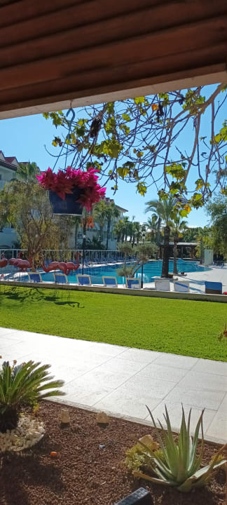 Pool Hotel Süral Resort