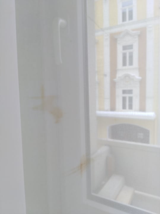 Die Gardine war sehr mit Flecken dekoriert.  AKTIVHOTEL Weisser Hirsch