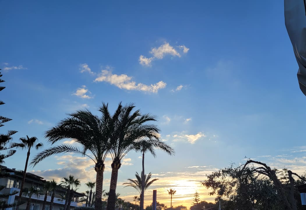 Außenansicht allsun Hotel Eden Playa