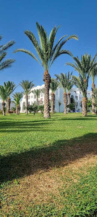 Gartenanlage Club Palm Azur