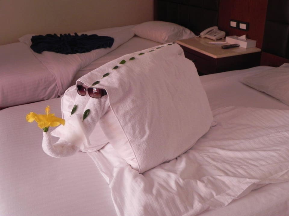 Von unserem House-Keeper Moustafa Pickalbatros Alf Leila Wa Leila Resort - Neverland Hurghada