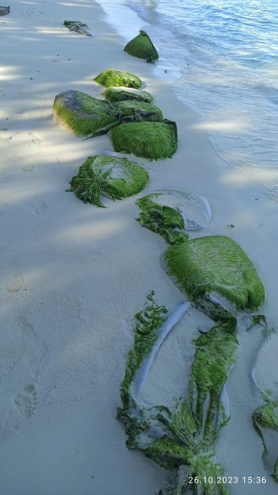 Strand Summer Island Maldives