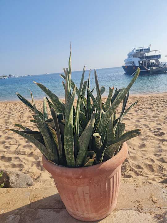 Außenansicht Lotus Bay Beach Resort