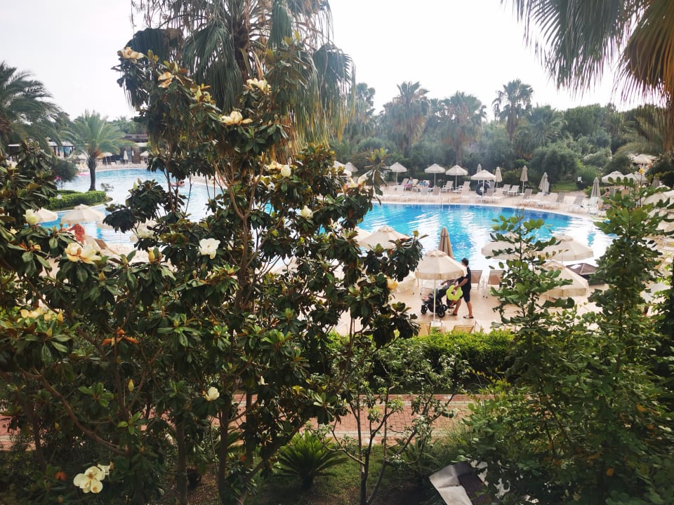 Pool Seaden Sea World Resort & Spa