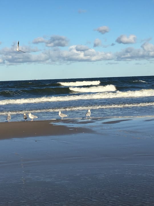 Strand SEETELHOTEL Ostseeresidenz Bansin