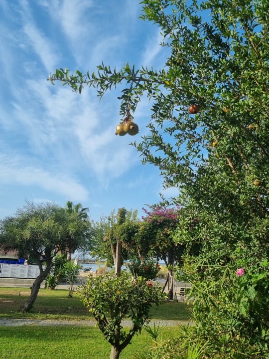Gartenanlage Sunis Evren Beach Resort Hotel & Spa