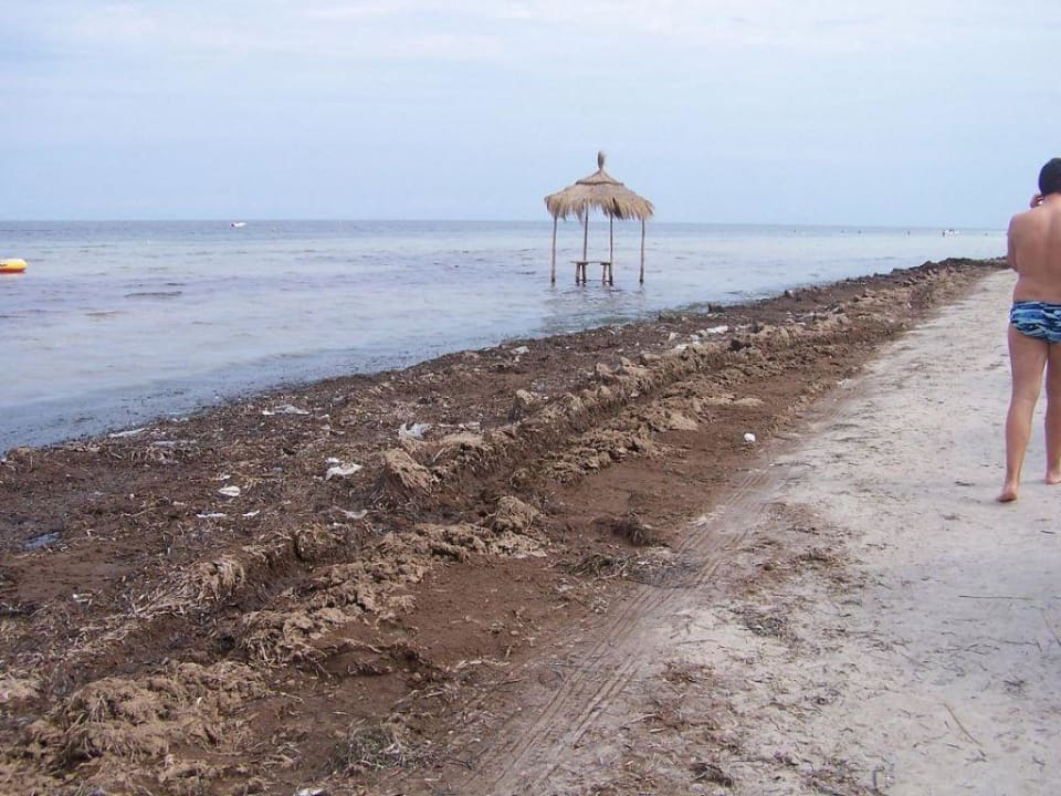 Dreckiger Strand Hotel Rosa Beach