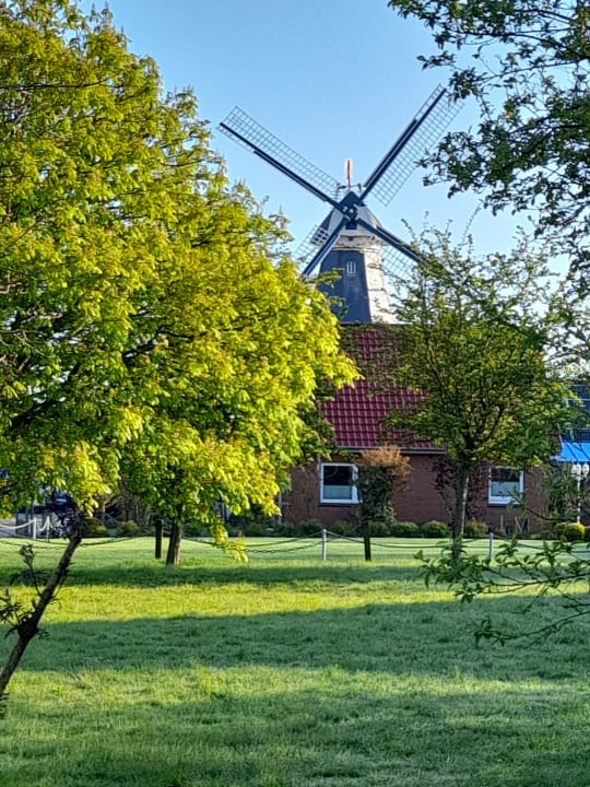 Gartenanlage Ferienhaus Am Sielblick Ditzum