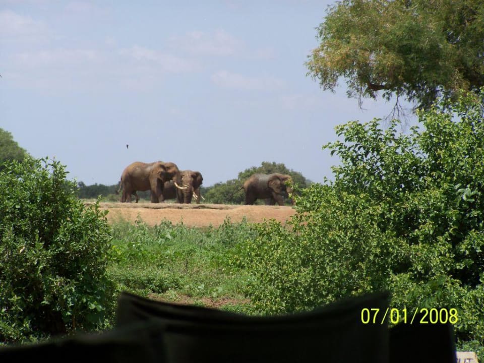 Vom Mittagstisch Satao Camp