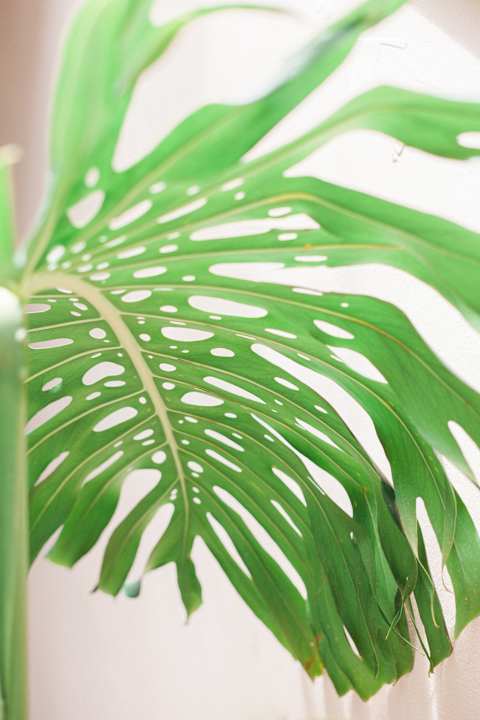 Außenansicht Afroditi Pansion