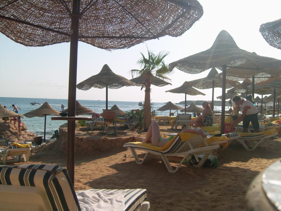 Entspannungsgarantie Concorde El Salam Hotel Sharm el Sheikh by Royal Tulip