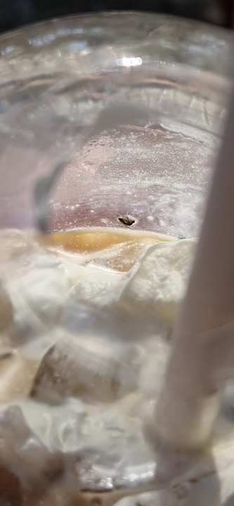 Zimmer Bodrum Park Resort