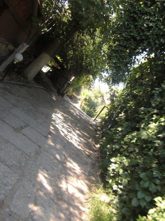 Allee Hotel Neptün/Neptun