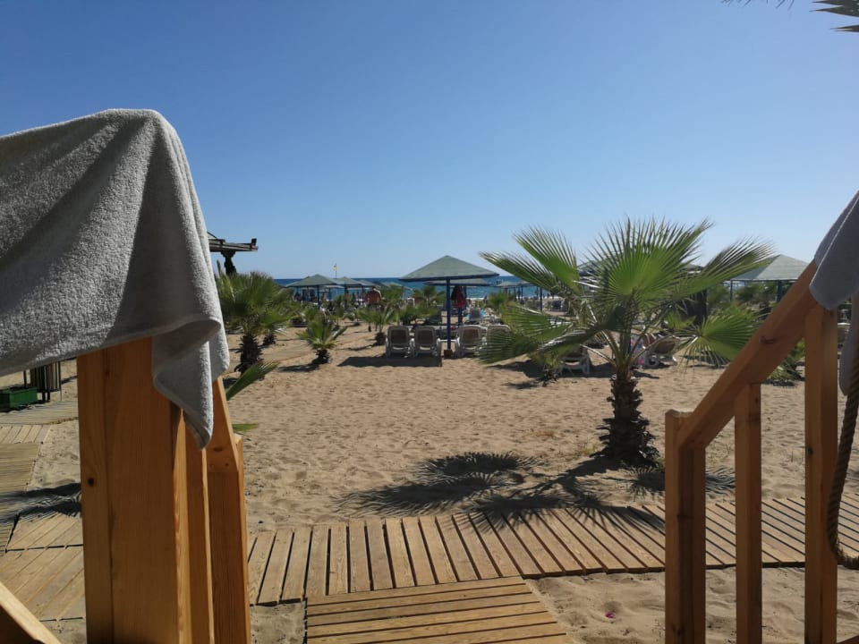 Strand Paloma Oceana