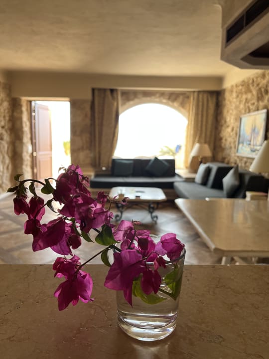 Zimmer Pickalbatros Citadel Resort