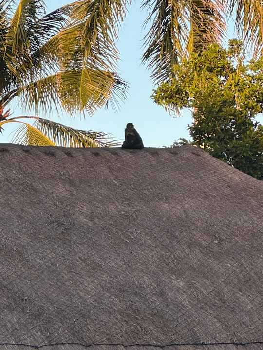 Außenansicht TRS Yucatan Hotel - Adults only