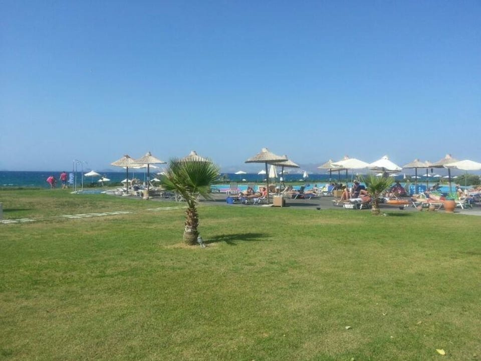 Blick von Zimmer zum Pool und Meer Astir Odysseus Kos Resort & Spa