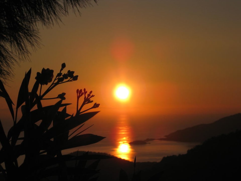 Ausblick von der Sunsetbar Montana Pine Resort