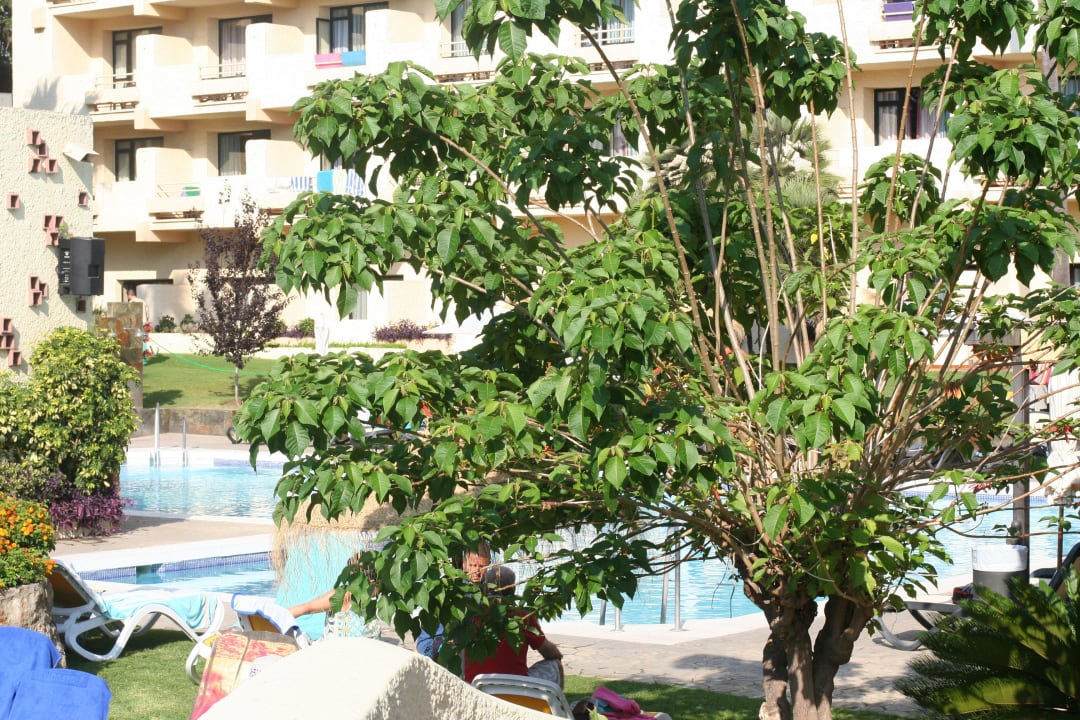 Gartenanage BLUESEA Al Andalus