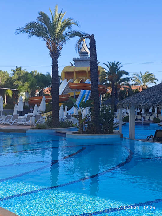 Pool Well Palace Side