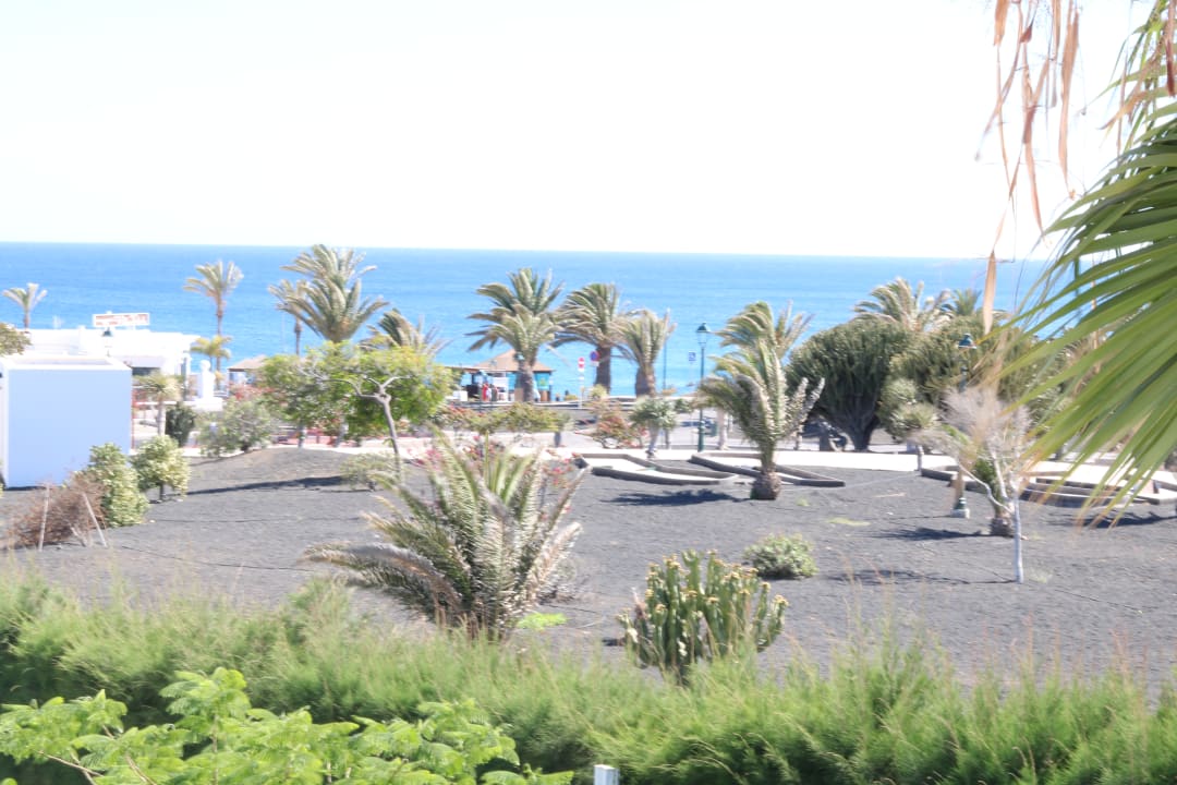 Ausblick allsun App.-Hotel Albatros