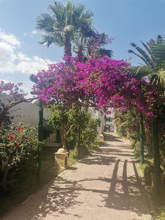 Sonstiges Hotel Nesrine