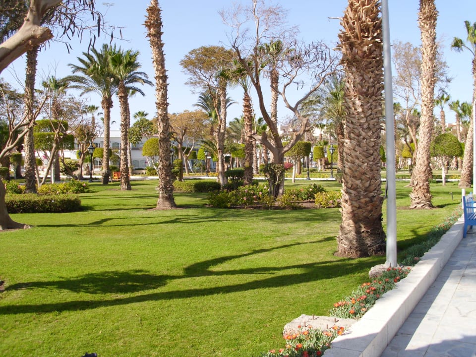 Immer Sauber!! The Grand Hotel Hurghada