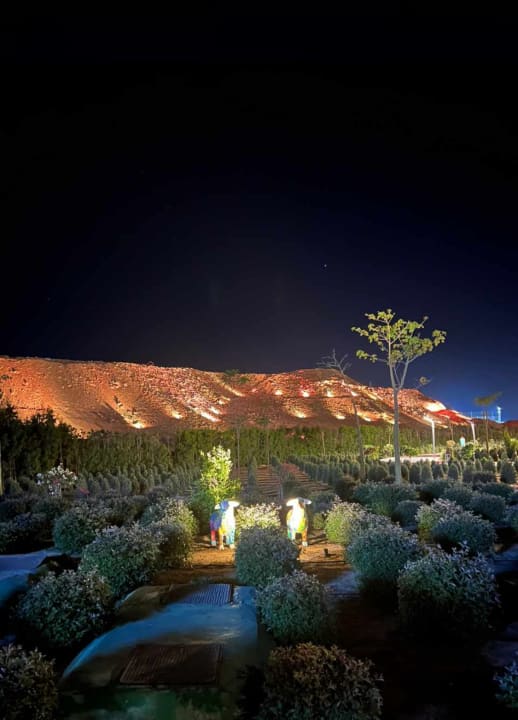 Gartenanlage Pickalbatros Villaggio Resort - Portofino