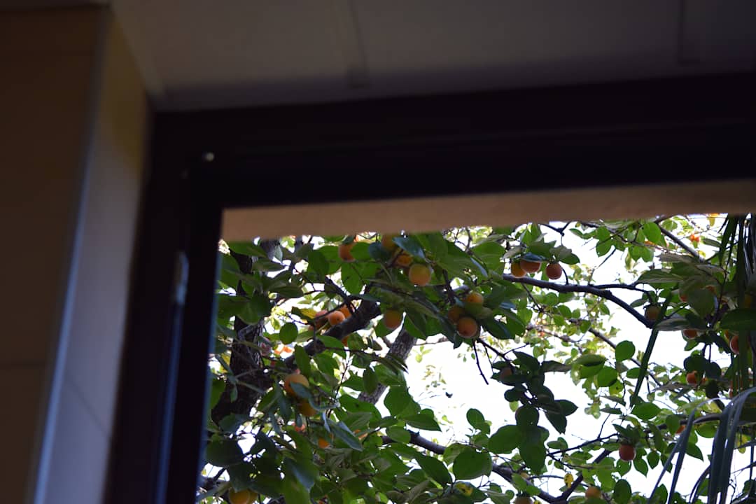 Ausblick Hotel Ponte