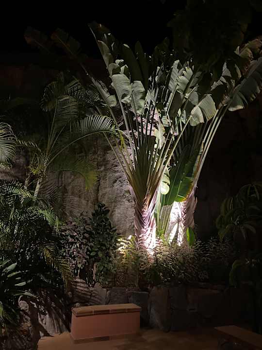 Sonstiges Hotel Cordial Mogán Playa