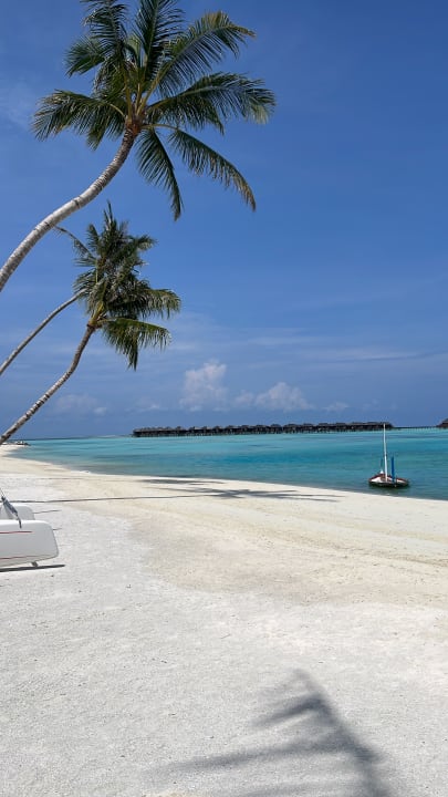 Strand TUI BLUE Olhuveli Romance