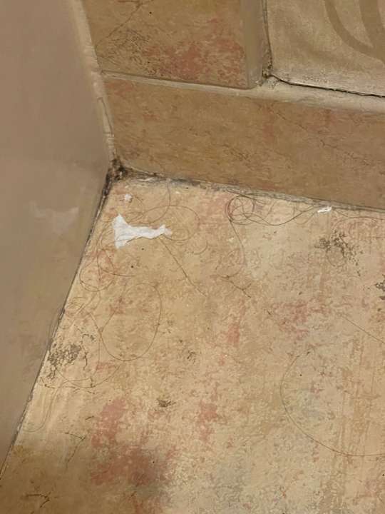 Zimmer The Orleans Hotel & Casino