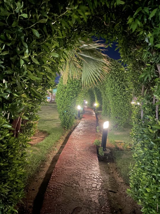 Gartenanlage Cleopatra Luxury Resort Makadi Bay