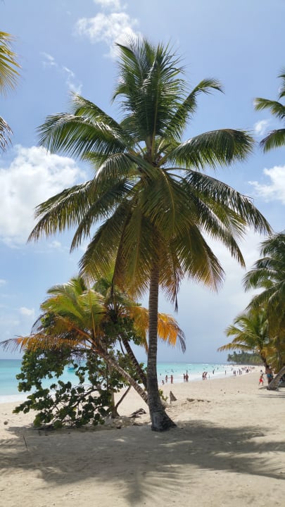 Strand Grand Palladium Punta Cana Resort & Spa