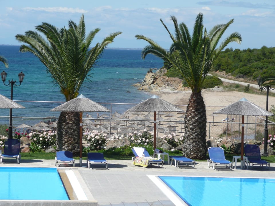 Blick vom Restaurant auf Pool Blue Dolphin Resort Hotel