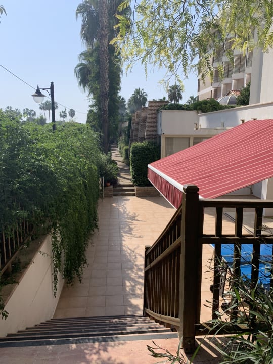 Gartenanlage Trendy Palm Beach (Adults Only, 16+)