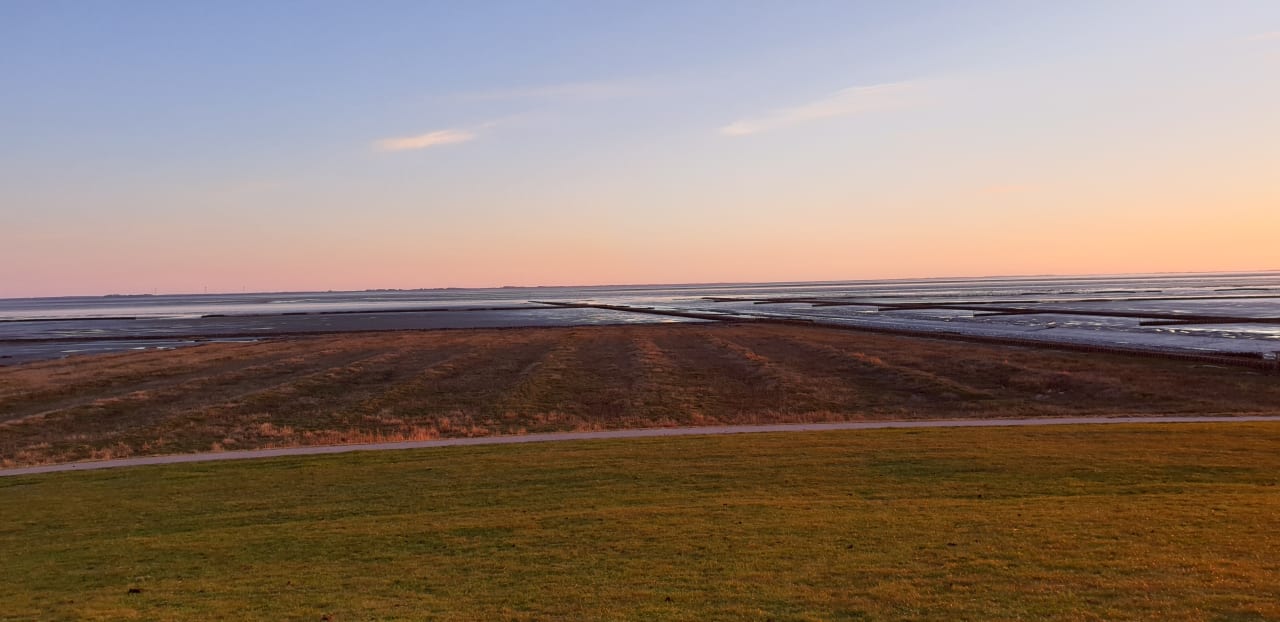 Ausblick Ferienhaus Hemenswarft direkt an der Nordsee mit Meerblick