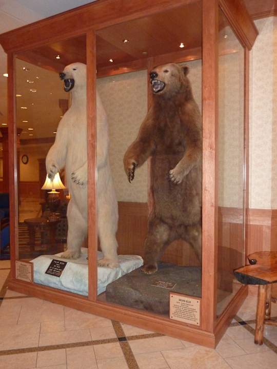 Schaukasten in der Lobby Hotel Hilton Anchorage