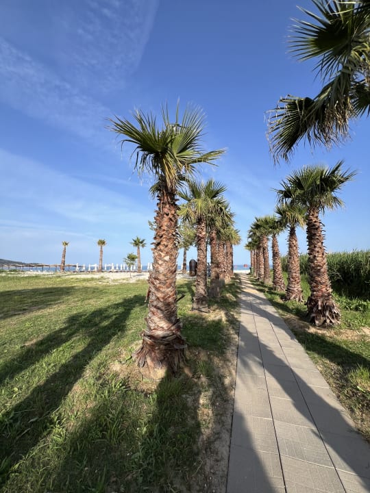 Gartenanlage Alexandra Golden Boutique - Adults only